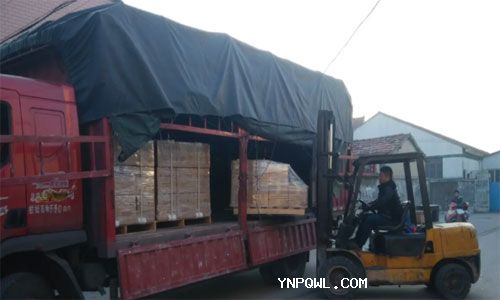中型貨車與輕卡同等路權(quán)！全國多地開始試點！