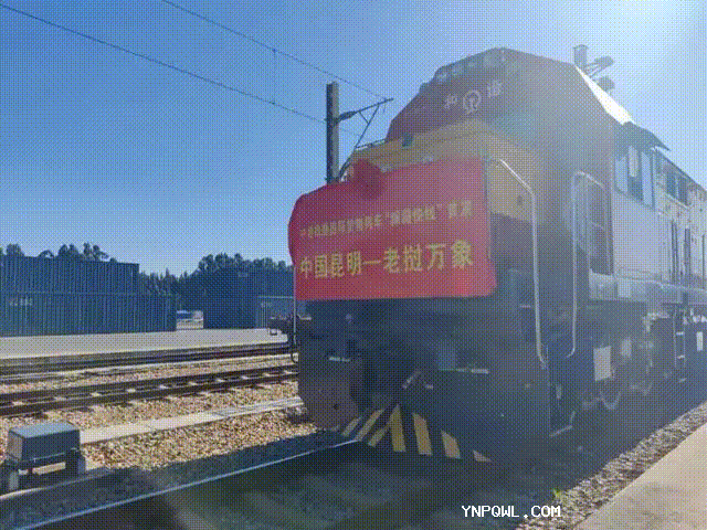 中老鐵路國際貨物列車“瀾湄快線