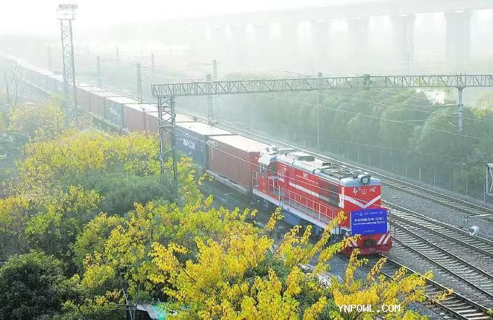 中老鐵路承運商品結構不斷優(yōu)化拉動了貨運量快速增長
