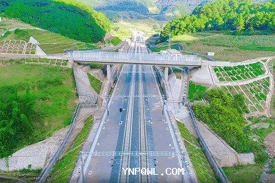 中老鐵路運(yùn)輸在農(nóng)產(chǎn)品出口方面有哪些挑戰(zhàn)？